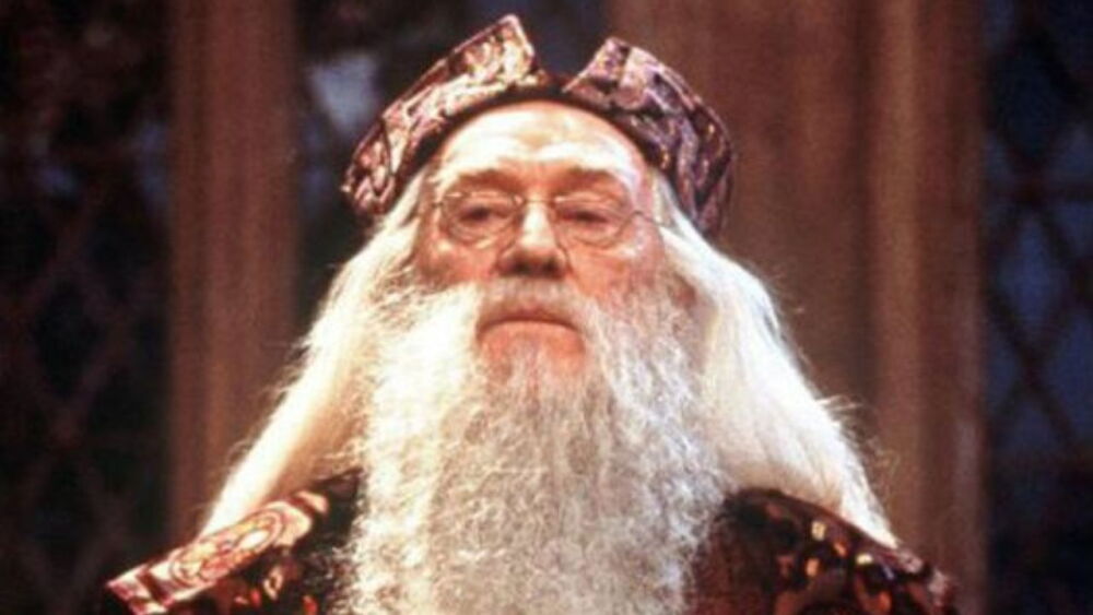 Dumbledore Dumbledore