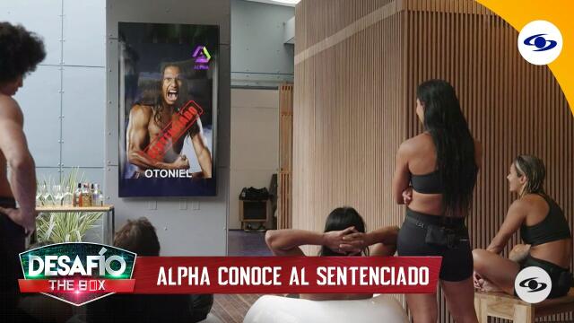 Clip7 Clip7