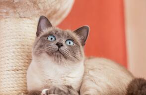 1758_Foto: Gato - AFP