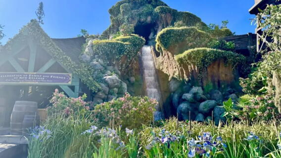 Susto en Disneyland: joven cayó casi 15 metros desde una atracción y resultó en el hospital