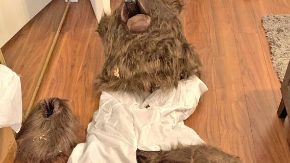 Arrestan a 4 personas por disfrazarse de oso para estafar Arrestan a 4 personas por disfrazarse de oso para estafar