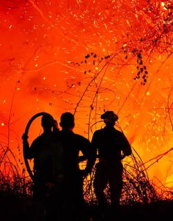 Se mantiene alarma en Tolima por incendios activos: gobernadora interpuso denuncia ante la Fiscalía