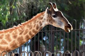 314729_Foto: referencia AFP