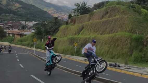 Pique ilegales Cali Pique ilegales Cali