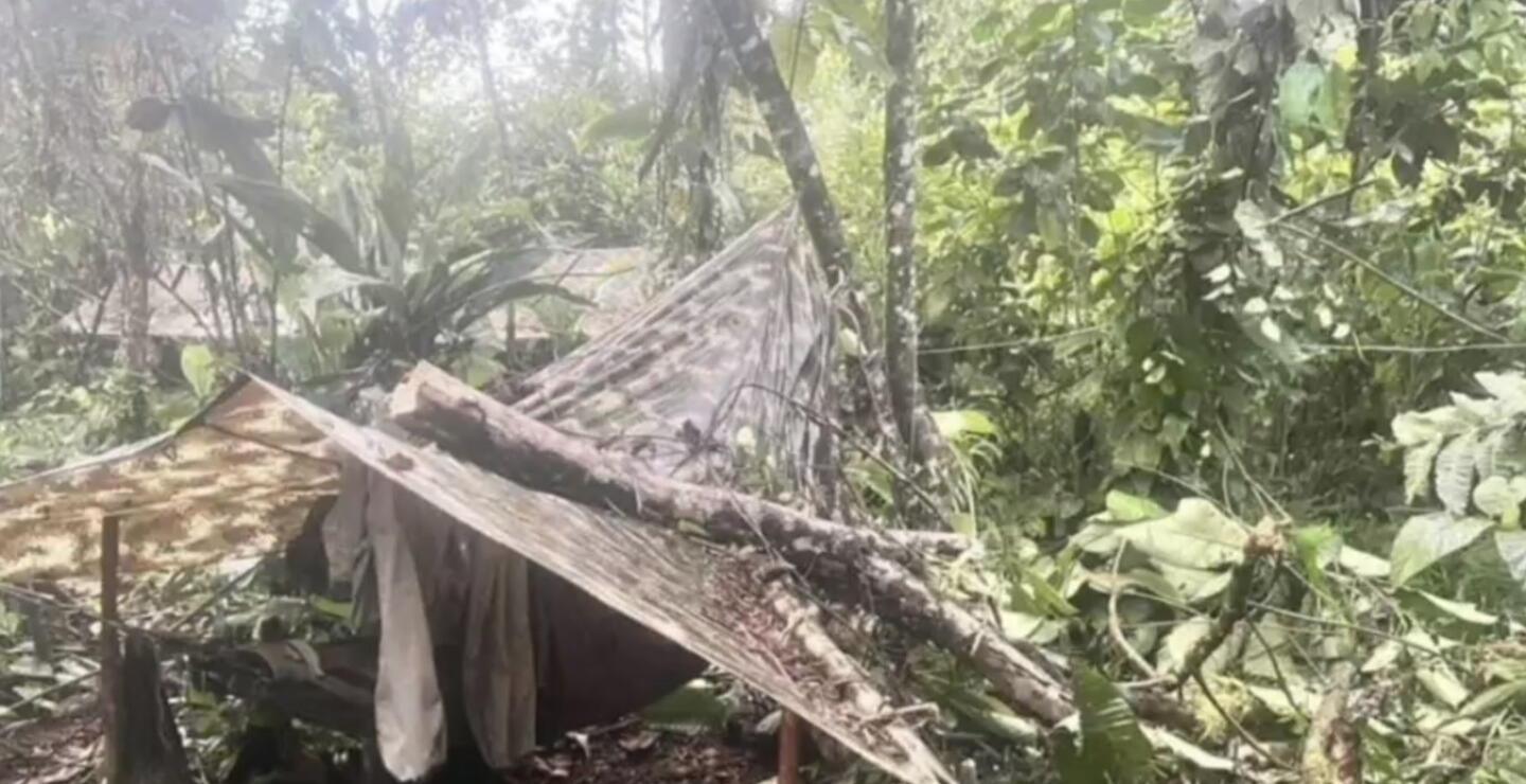 Disidencias destruyen el equivalente a 22 mil hectáreas de selva amazónica
