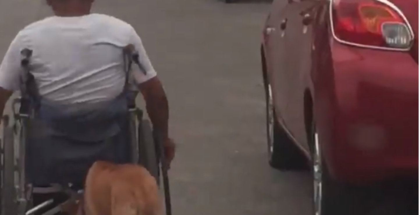 311309_BLU Radio.Perro emppuja a su dueño que esta en silla de ruedas/Foto: captura de vídeo de cuenta de facebook