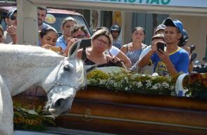 Caballo despide a su amo