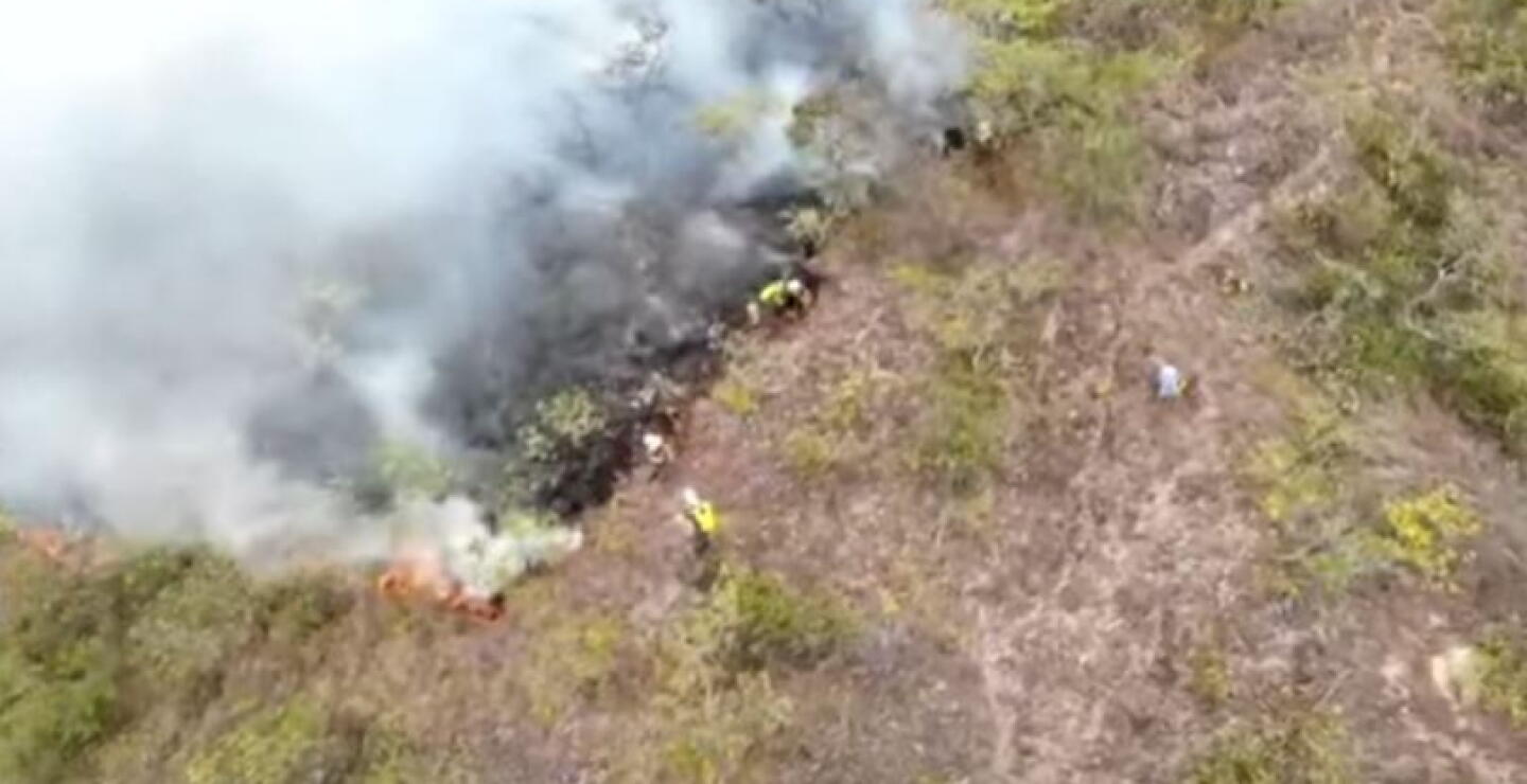 Declaran calamidad pública por incendios forestales en Huila: piden ayuda al Gobierno