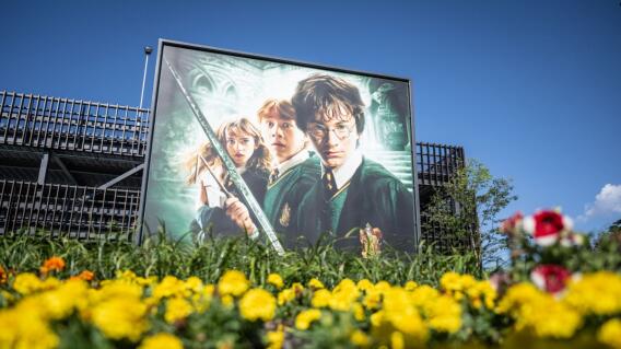 La ilustración original de Harry Potter será subastada por primera vez en Nueva York La ilustración original de Harry Potter será subastada por primera vez en Nueva York