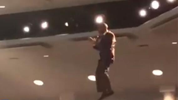 pastor-volando.jpg pastor-volando.jpg