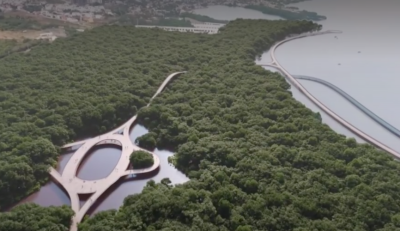 Barranquilla biodiverciudad 