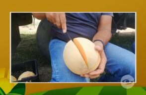 Melón.jpg