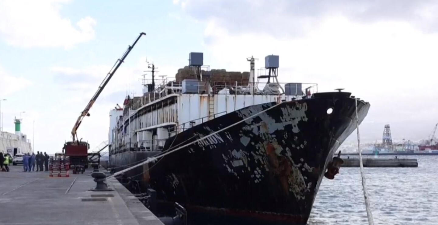 ¿Qué se sabe sobre el barco que transportaba ganado con cocaína a otros países?