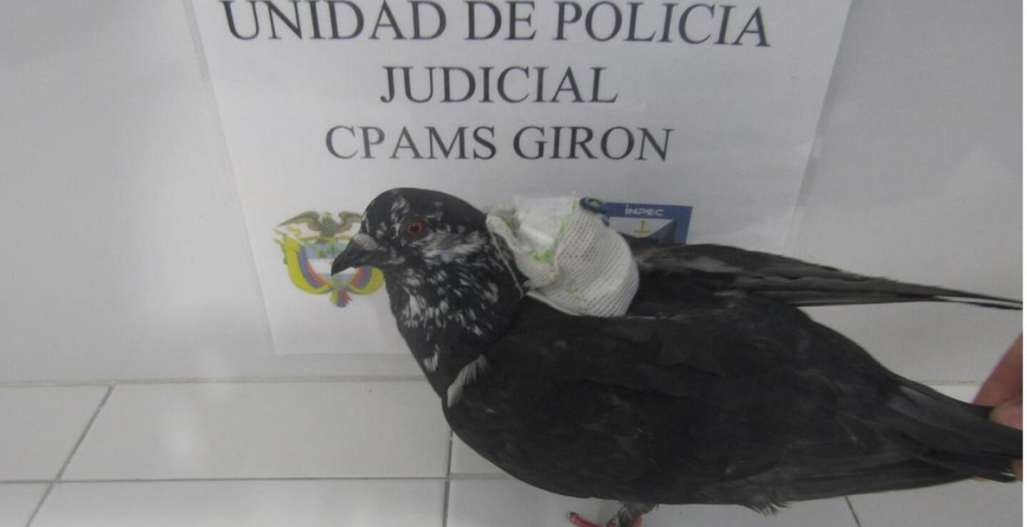 Equipos tecnológicos serán claves para cercar a quienes siguen delinquiendo desde las cárceles.jpg