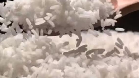 359199_Arroz Diana // Foto: captura video YouTube Arroz Diana