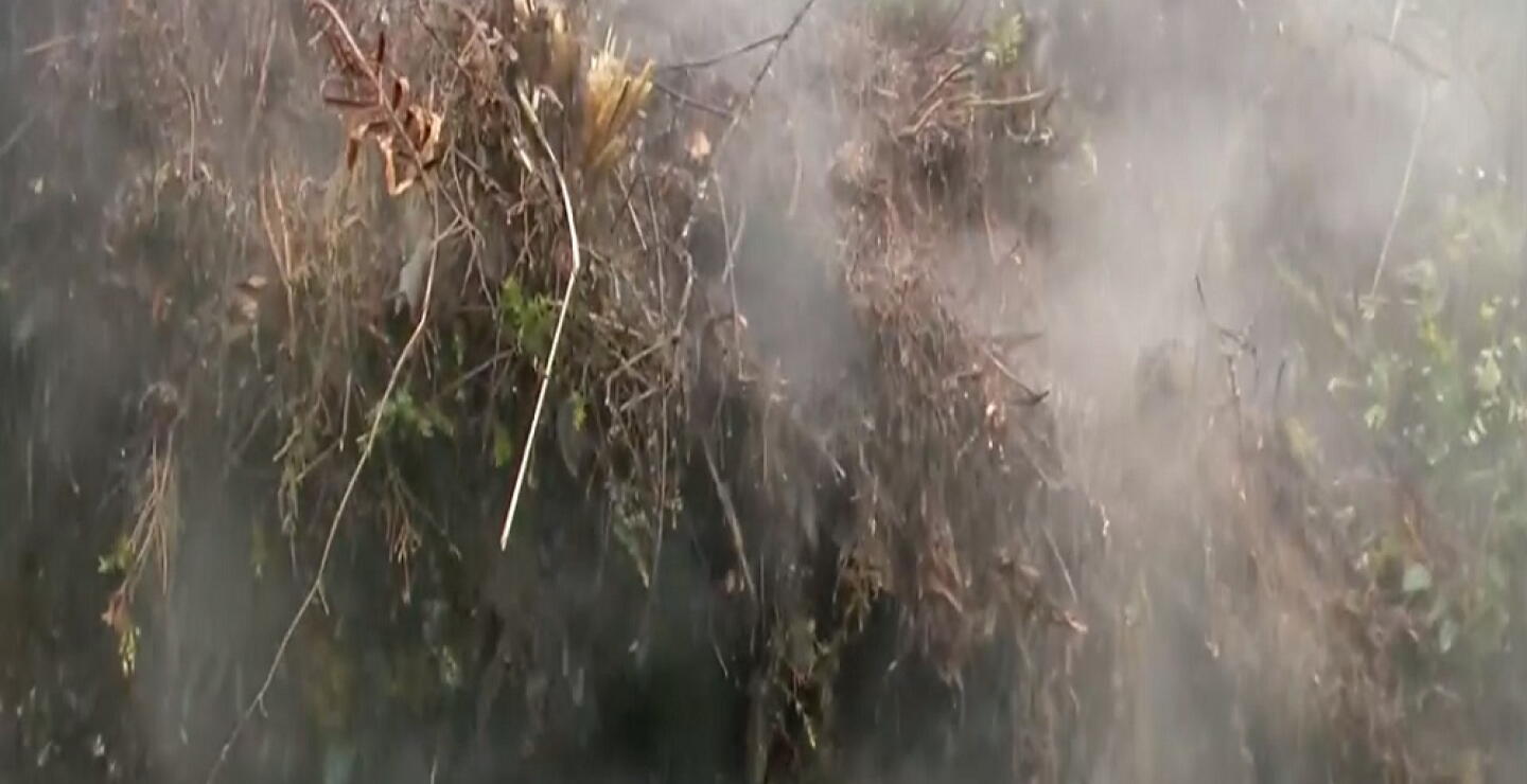 Fenómeno en cercanías al volcán Cerro Bravo: autoridades tomaron muestras en el sector 