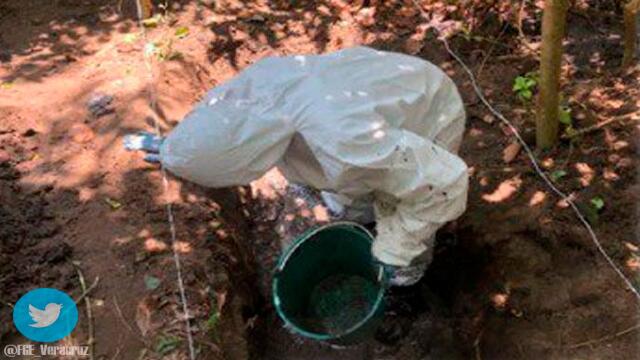 Escabroso hallazgo: encuentran fosa común con al menos 166 cadáveres en México
