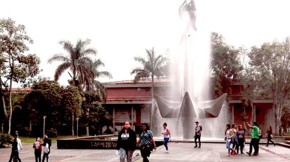 Foto: Universidad de Antioquia.