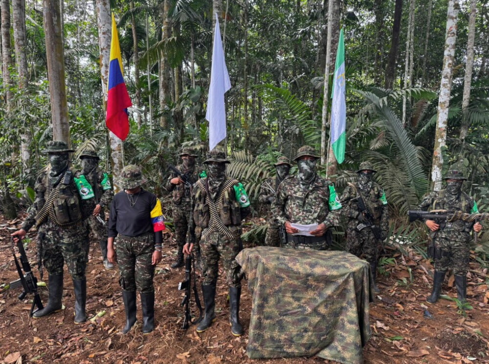 Clan del Golfo libera a la mamá de niño que suplicó su liberación entre lágrimas 