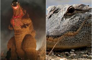 276644_Fotos: Referencia AFP