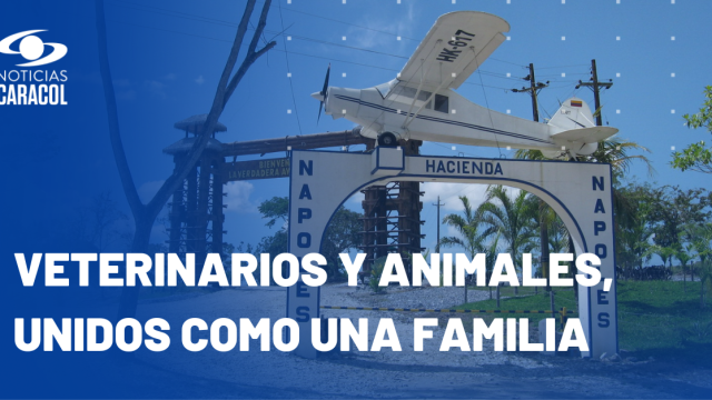 Veterinarios y animales, unidos como una familia Veterinarios y animales, unidos como una familia