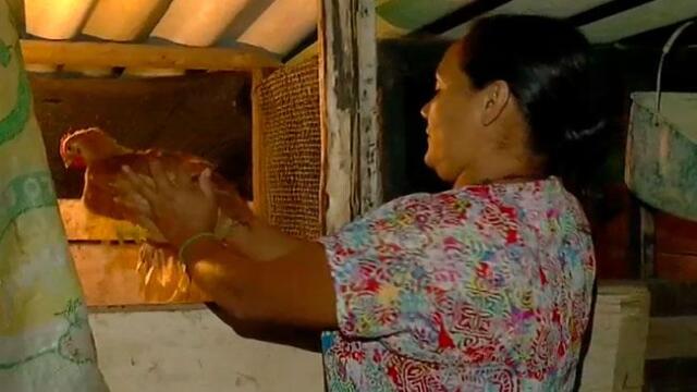 “Seguimos luchando”: mocoanos ponen en marcha proyectos productivos para recuperar lo que perdieron