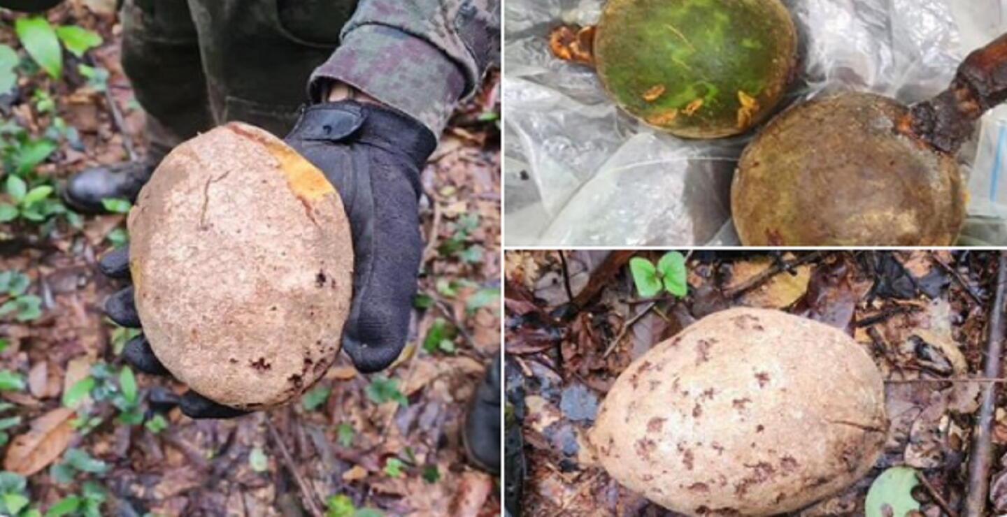 Kits de supervivencia fueron consumidos: ¿son los niños perdidos en selva del Caquetá?
