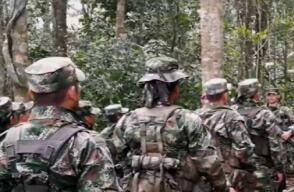 Mecanismos de verificación del cese al fuego dependerá de mecanismos de verificación: analistas Mecanismos de verificación del cese al fuego dependerá de mecanismos de verificación: analistas