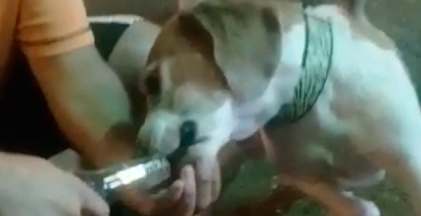 cerveza.jpg