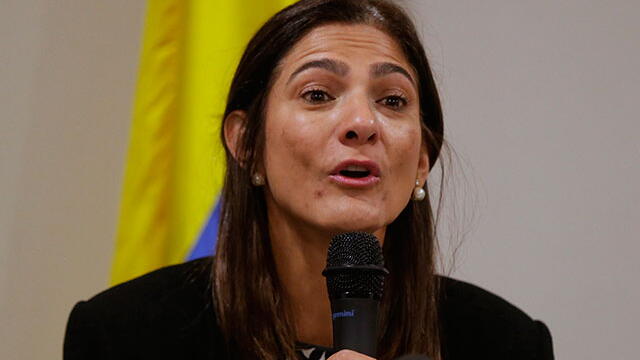 “Por ahora es imposible cerrar las fronteras aéreas”: Ministerio de Transporte