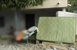 ¿Dónde está la ayuda del Gobierno? En colchones mojados duermen familias en La Guajira