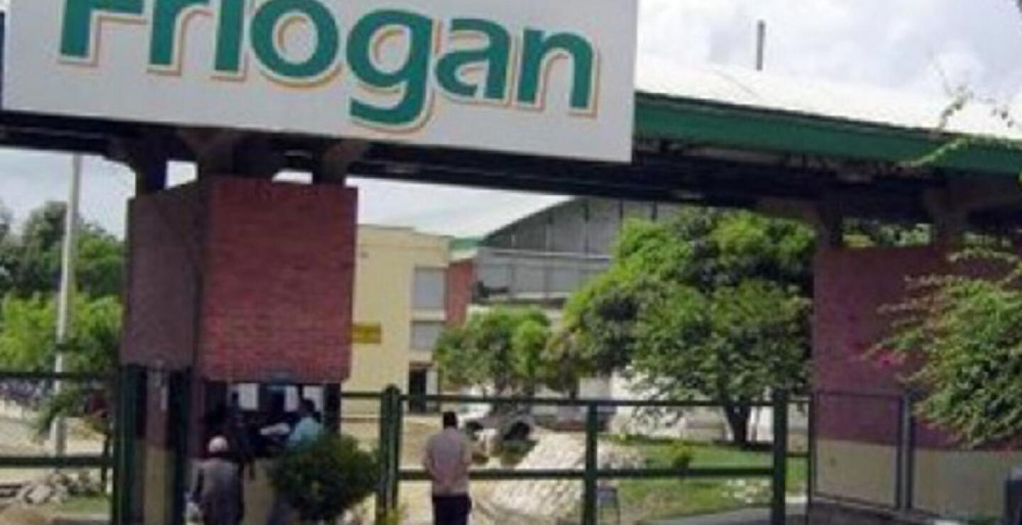 135458_Foto: Friogán