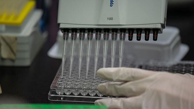 China empezó a probar vacuna contra el COVID-19 en humanos, pero aún faltan meses para uso masivo 