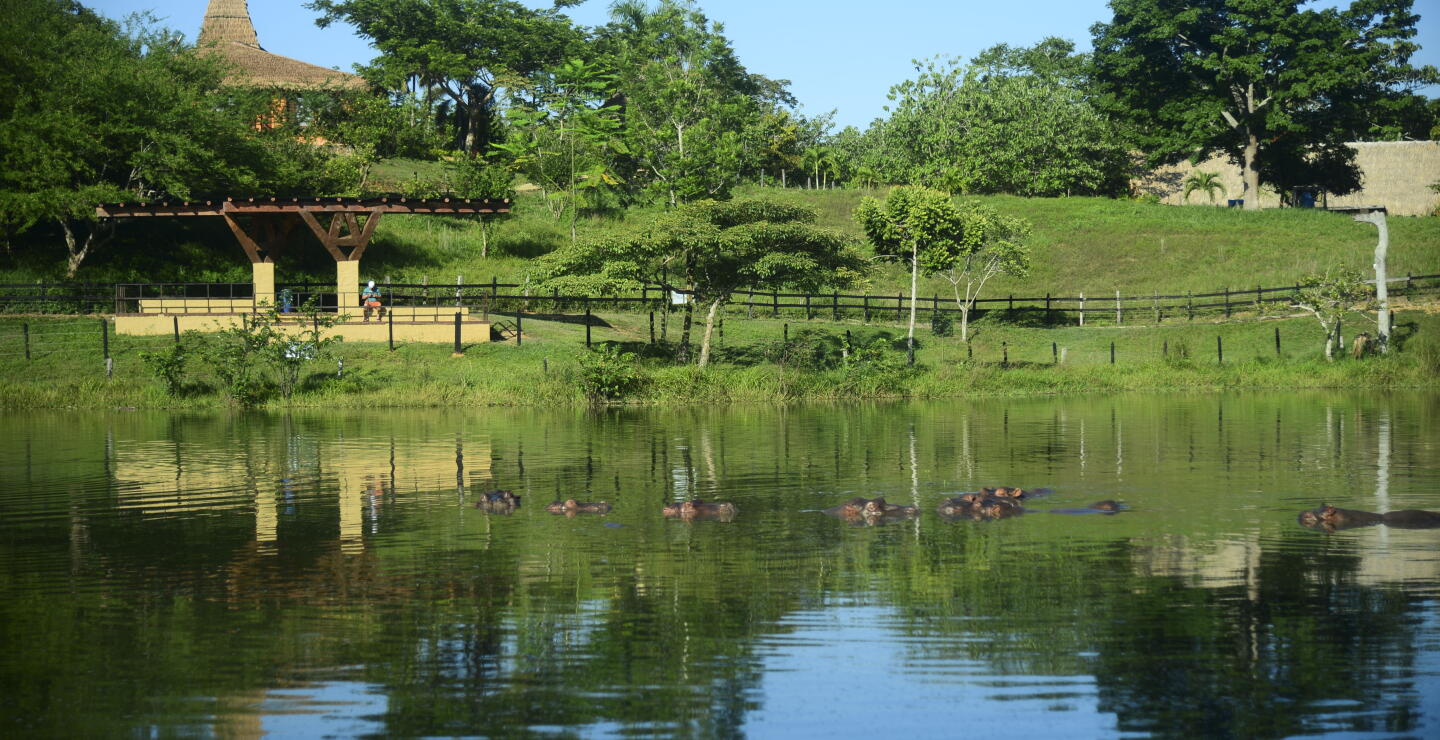 264306_Hacienda Nápoles / Foto: AFP