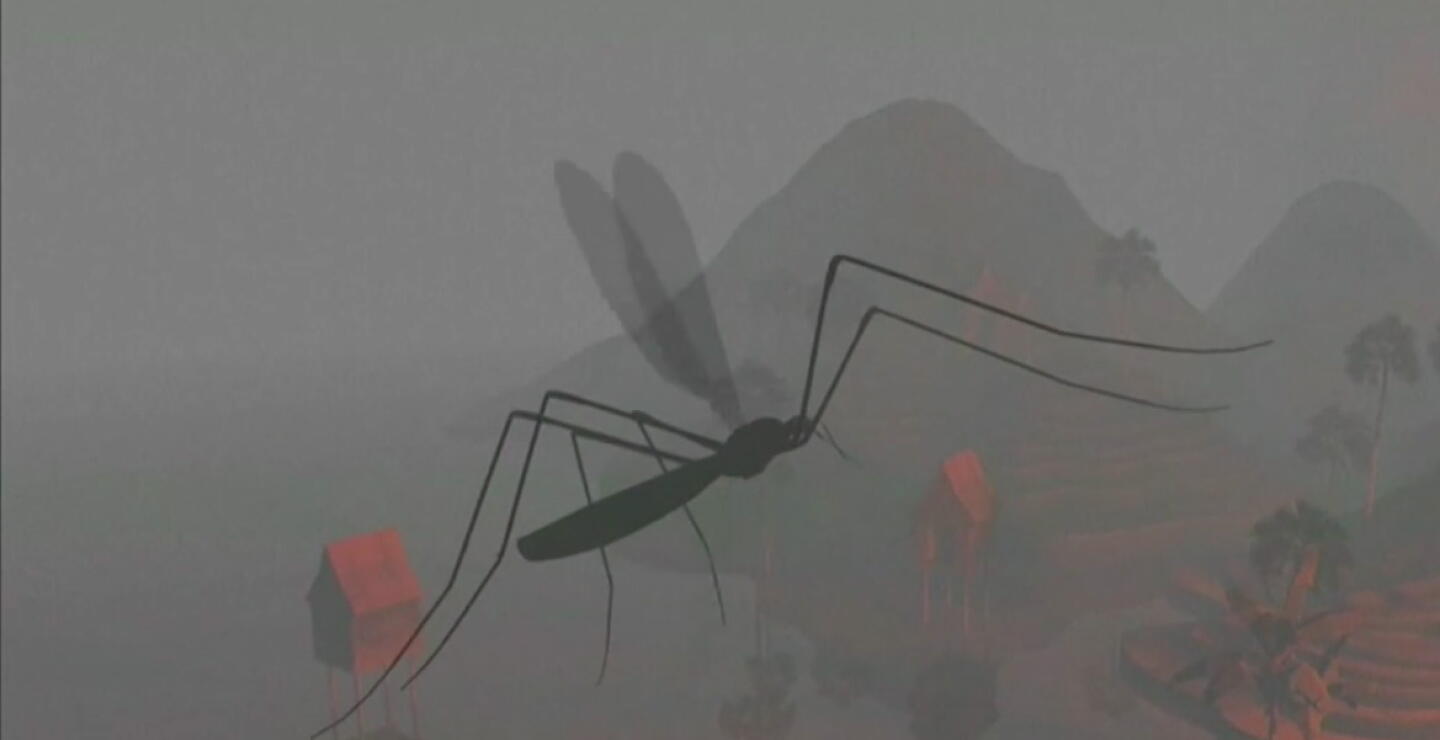 Más de 700 municipios en Colombia están en alerta por casos de malaria y paludismo