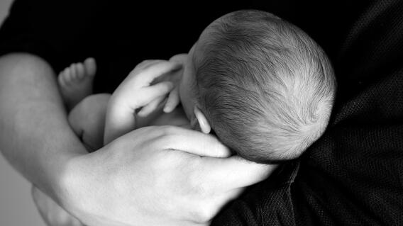 176730_bebe.jpg 176730_bebe.jpg