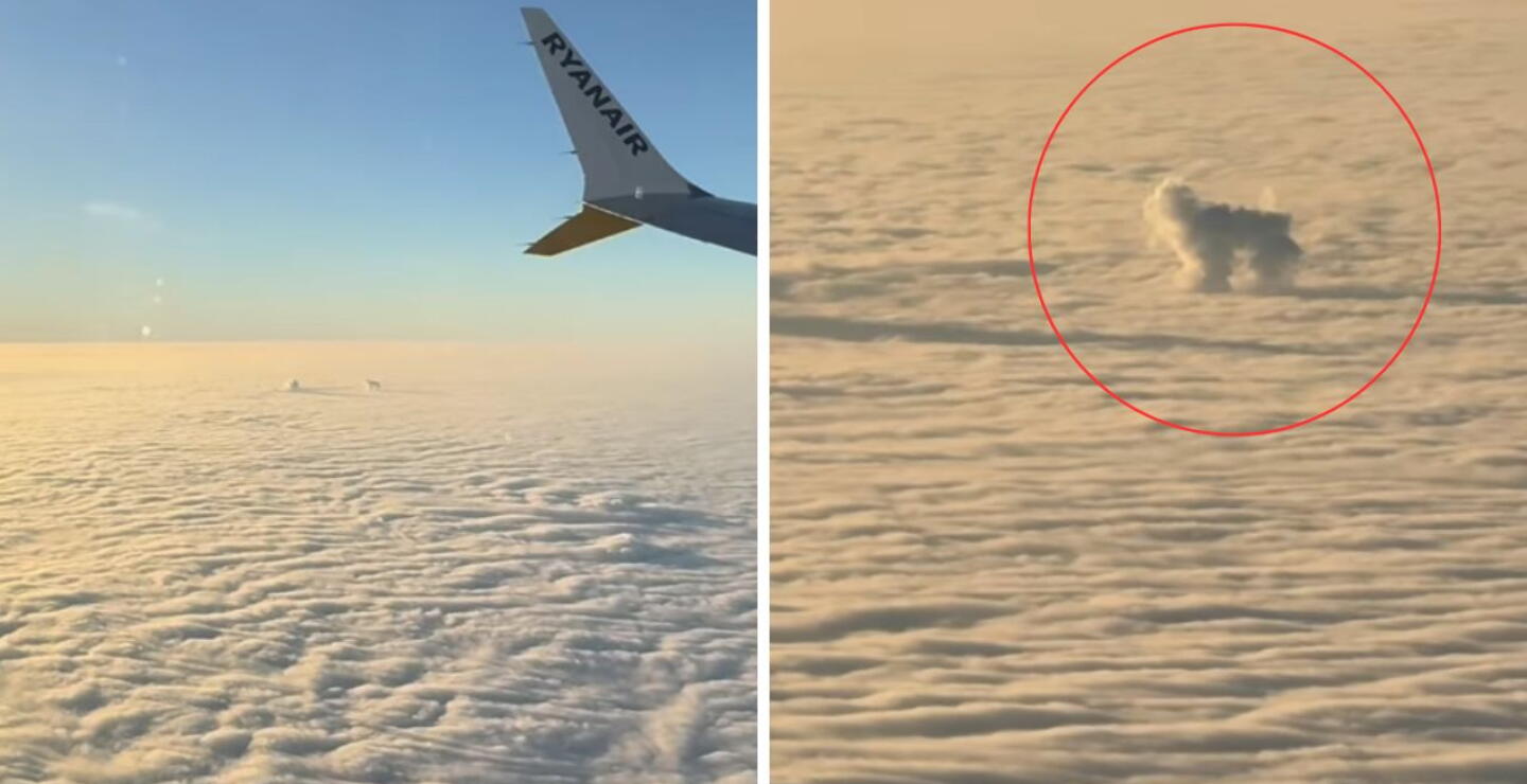 Joven asegura haber visto a su perro en el cielo en forma de nube: conmovedor video