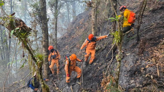 Incendio en San Andrés, Santander completa 20 días.jpg