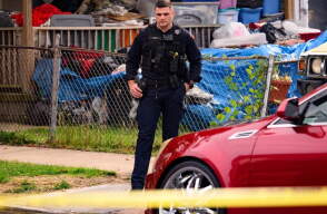 Crimen en Estados Unidos, referencia