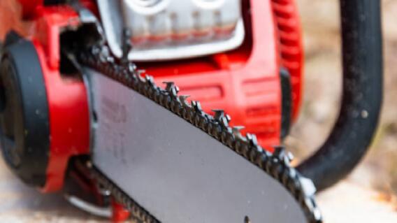 Con una motosierra, mujer habría asesinado y desmembrado a sus padres Con una motosierra, mujer habría asesinado y desmembrado a sus padres