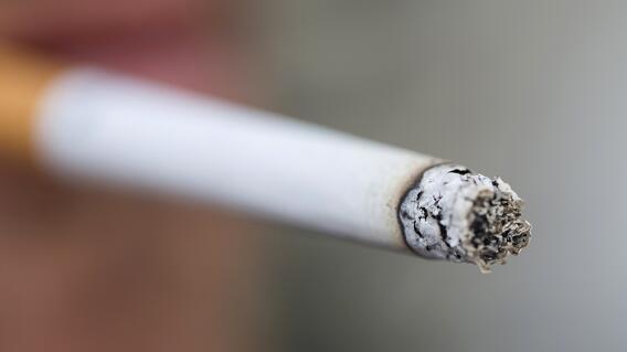 275903_BLU Radio. Tabaco y cigarrillo // Foto: AFP