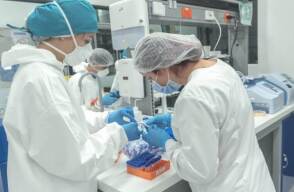 368063_coronavirus_ruta_n_