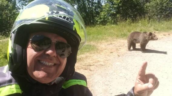 Muere turista atacado por una osa tras tomarse un selfie con uno de sus cachorros Muere turista atacado por una osa tras tomarse un selfie con uno de sus cachorros