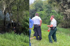 Accidente aéreo en Florida deja dos personas muertas: cayó poco después del despegue