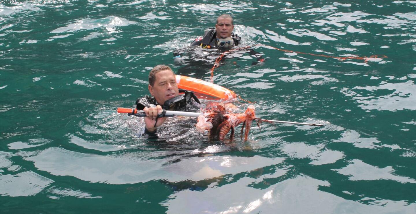 273718_Foto: Luis Oñate Gámez