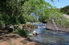 280880_Blu Radio / Concejales de Cali piden poner freno a construcción de edificaciones en Pance / Foto: Ecoparque río Pance.