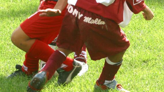 262395_genericaponyfutbole.jpg 262395_genericaponyfutbole.jpg