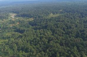 352900_Zona rural de Nóvita, Chocó / Foto: Cortesía