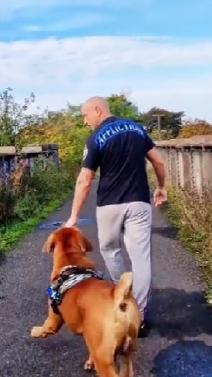 Hombre viral busca su pareja ideal