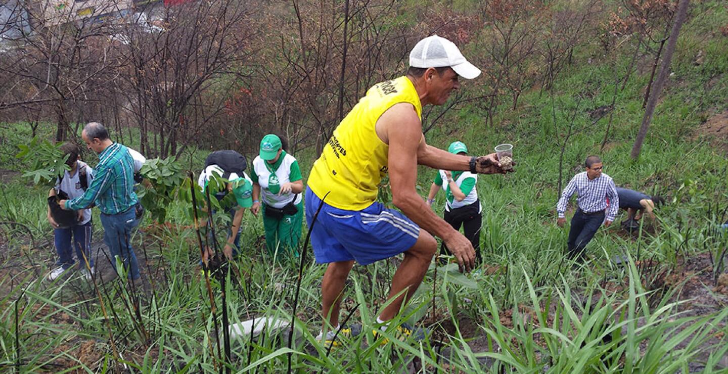 Además de los predios pertenecientes a los corregimientos, se sembraron árboles en otros ecosistemas estratégicos como el Cerro El Volador, el Alto de San Miguel y los Ecoparques La Perla y Buga.